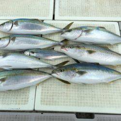 ミタチ丸 釣果