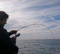 IDATEN（イダテン） 釣果