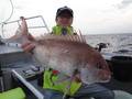 里輝丸 釣果