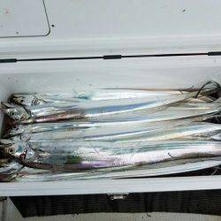 遊漁船 ニライカナイ 釣果