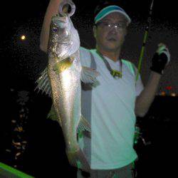 TOPGUN名古屋 釣果