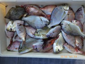 石川丸 釣果