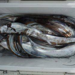 遊漁船 遊友 釣果