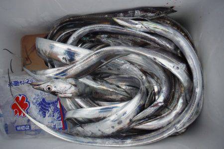 遊漁船 遊友 釣果