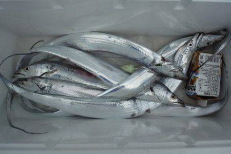 遊漁船 遊友 釣果