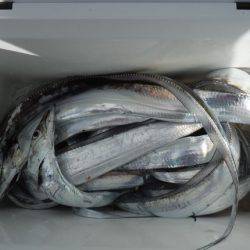 遊漁船 遊友 釣果