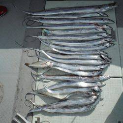 遊漁船 遊友 釣果