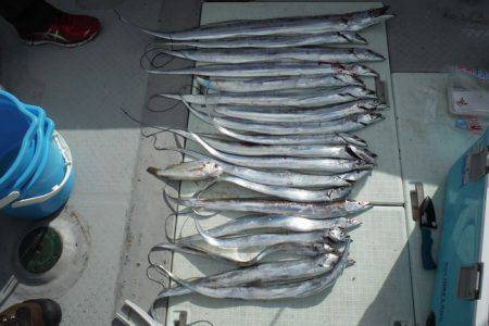 遊漁船 遊友 釣果