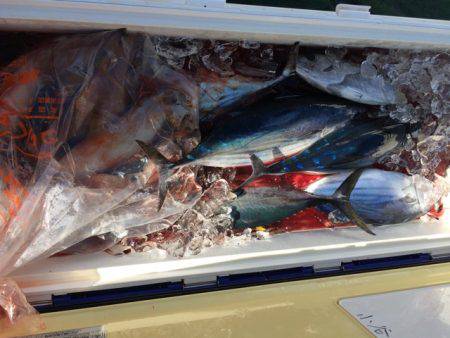 Blue.win 海人丸 釣果