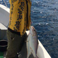 Blue.win 海人丸 釣果