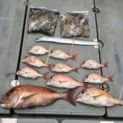 さんさん丸 釣果