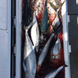 Blue.win 海人丸 釣果