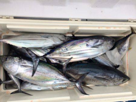 Blue.win 海人丸 釣果