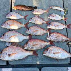 さんさん丸 釣果