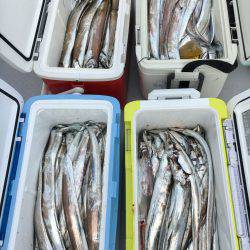 さんさん丸 釣果