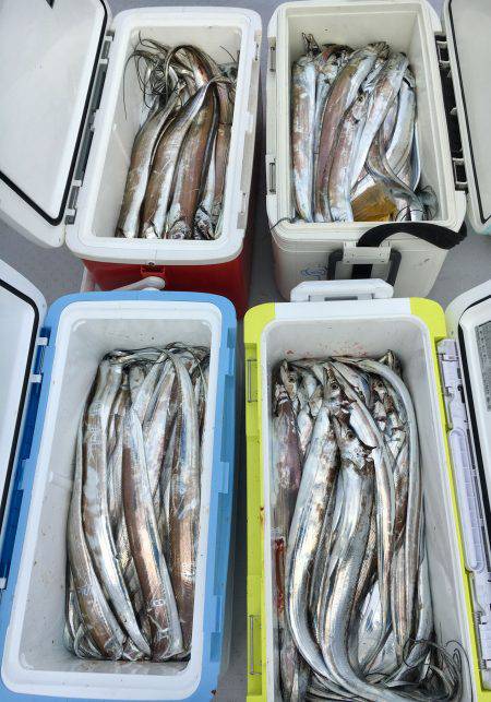 さんさん丸 釣果