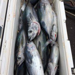 Blue.win 海人丸 釣果