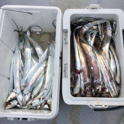 さんさん丸 釣果