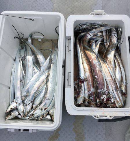 さんさん丸 釣果