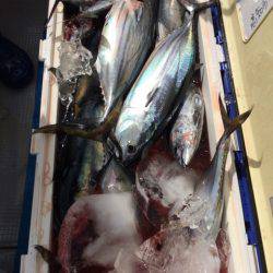 Blue.win 海人丸 釣果