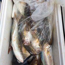 Blue.win 海人丸 釣果