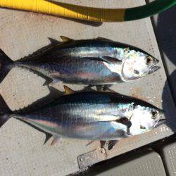 Blue.win 海人丸 釣果