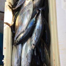 Blue.win 海人丸 釣果