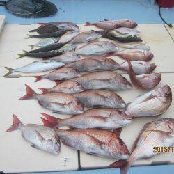第十八吉栄丸 釣果