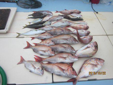 第十八吉栄丸 釣果