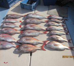 第十八吉栄丸 釣果