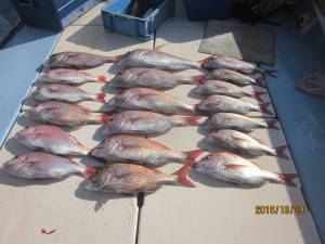 第十八吉栄丸 釣果