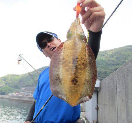 サイズ上がっています！四国エギング状況【ジャイアン氏連載記事No.02】