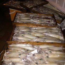 幸風(さちかぜ) 釣果