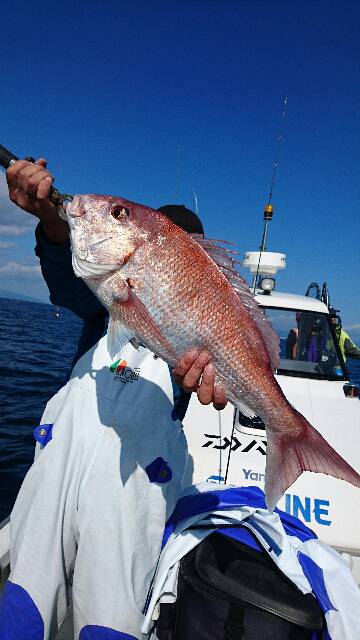 遊漁船ブルーウッズ 釣果