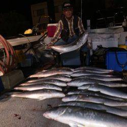 幸風(さちかぜ) 釣果