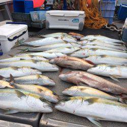 幸風(さちかぜ) 釣果