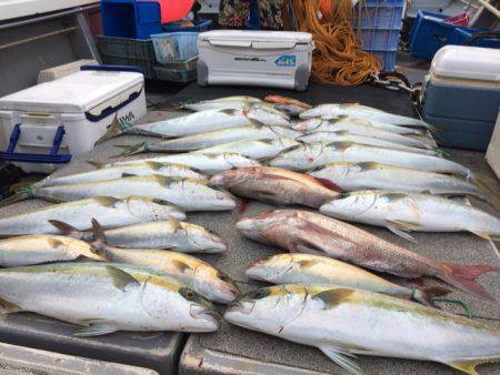 幸風（さちかぜ） 釣果