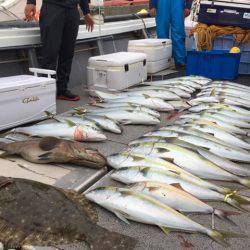 幸風（さちかぜ） 釣果