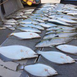 幸風（さちかぜ） 釣果