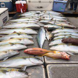 幸風(さちかぜ) 釣果