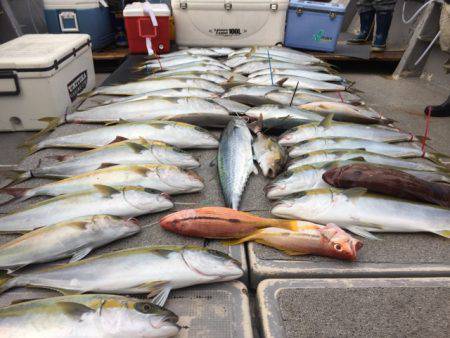 幸風（さちかぜ） 釣果