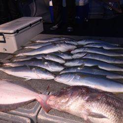 幸風(さちかぜ) 釣果