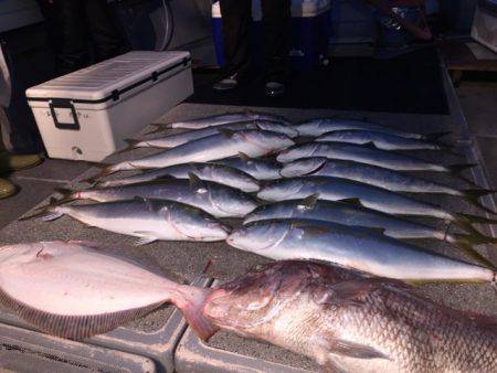 幸風（さちかぜ） 釣果