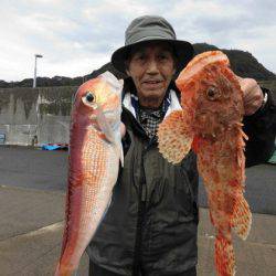 大進丸（新潟） 釣果