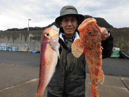 大進丸（新潟） 釣果