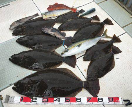 ふじしめ丸 釣果