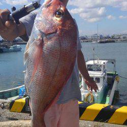 遊漁船 新鋭丸 釣果