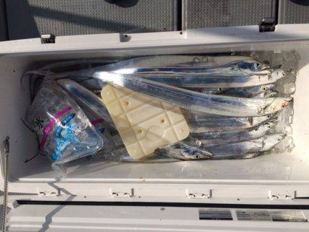 遊漁船高橋 釣果