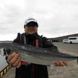 大進丸（新潟） 釣果