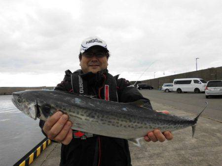 大進丸（新潟） 釣果